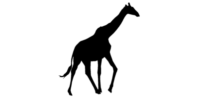 Seaton Environmental