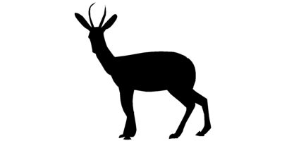 Seaton Environmental