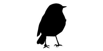 Seaton Environmental