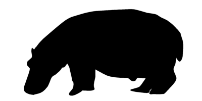 Seaton Environmental